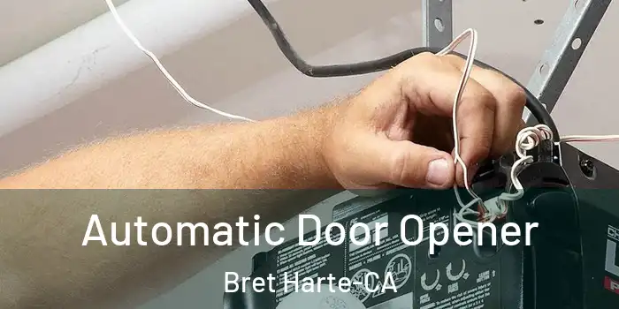  Automatic Door Opener Bret Harte-CA