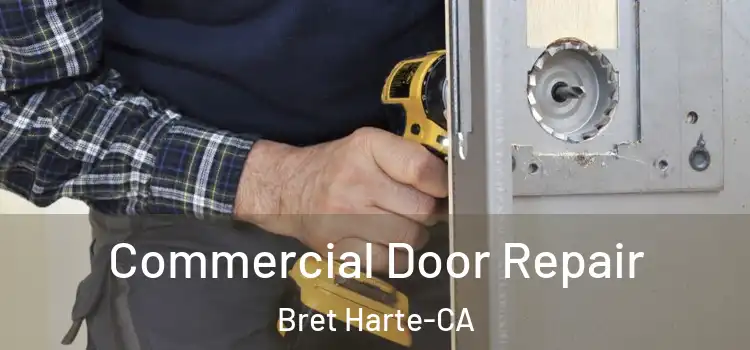  Commercial Door Repair Bret Harte-CA