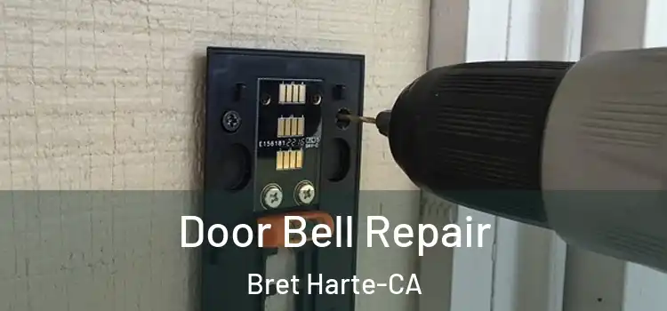  Door Bell Repair Bret Harte-CA
