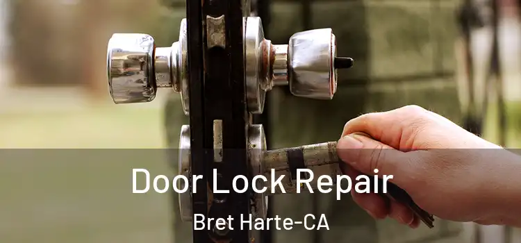  Door Lock Repair Bret Harte-CA