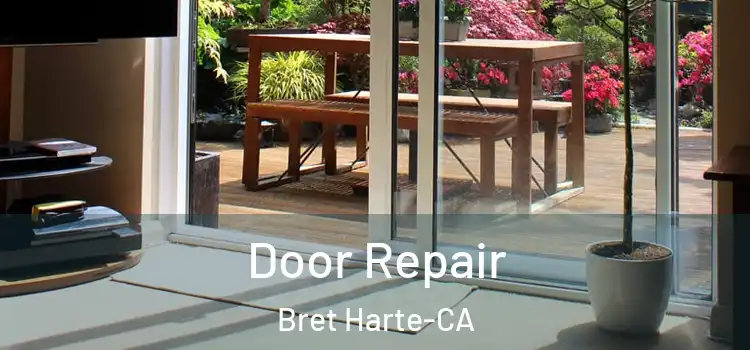  Door Repair Bret Harte-CA