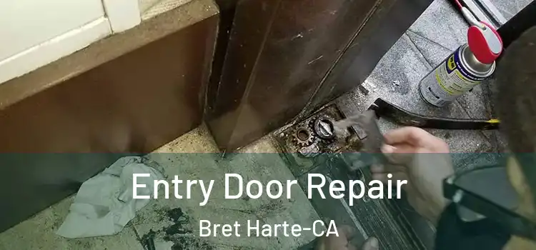  Entry Door Repair Bret Harte-CA