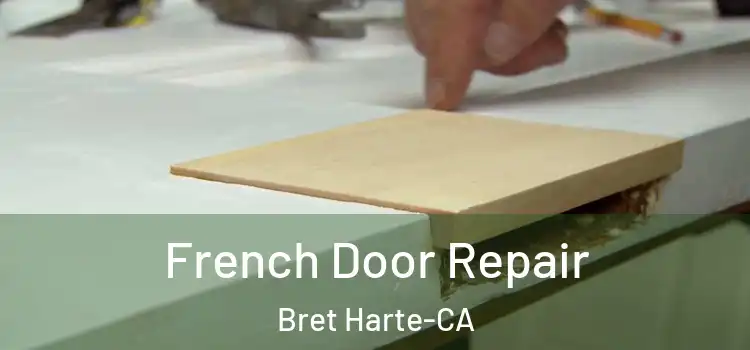  French Door Repair Bret Harte-CA