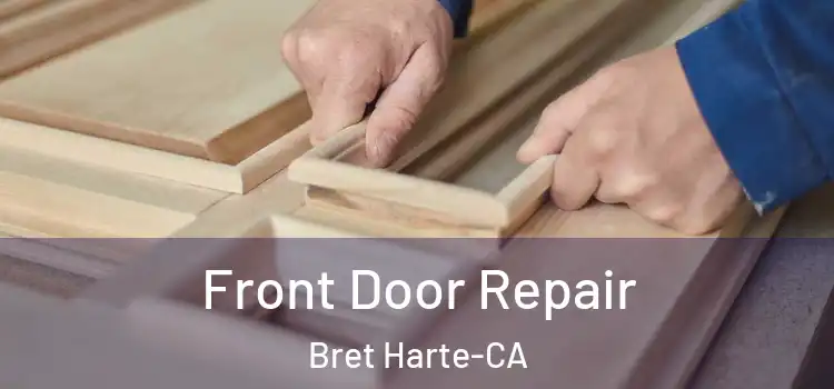  Front Door Repair Bret Harte-CA