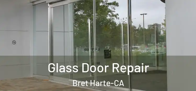  Glass Door Repair Bret Harte-CA