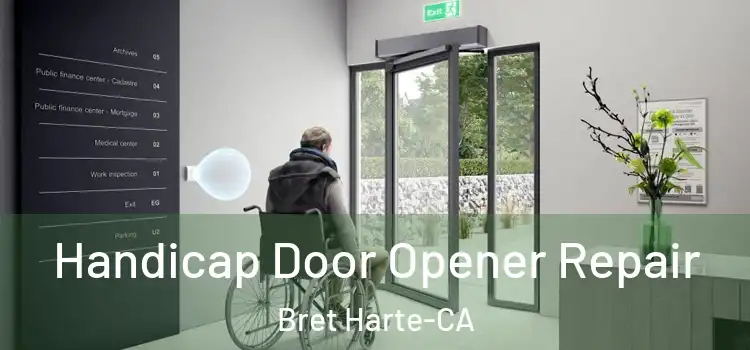  Handicap Door Opener Repair Bret Harte-CA
