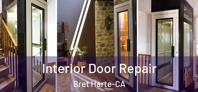  Interior Door Repair Bret Harte-CA