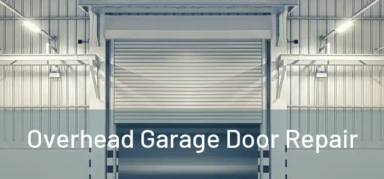  Overhead Garage Door Repair 