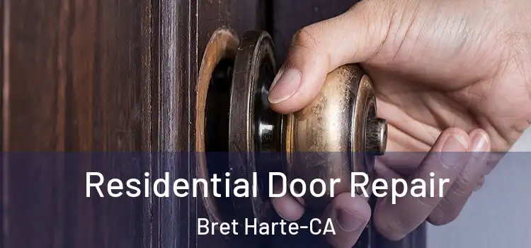  Residential Door Repair Bret Harte-CA