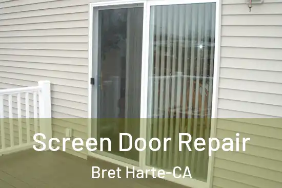  Screen Door Repair Bret Harte-CA