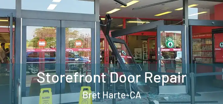  Storefront Door Repair Bret Harte-CA