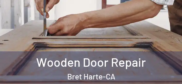  Wooden Door Repair Bret Harte-CA